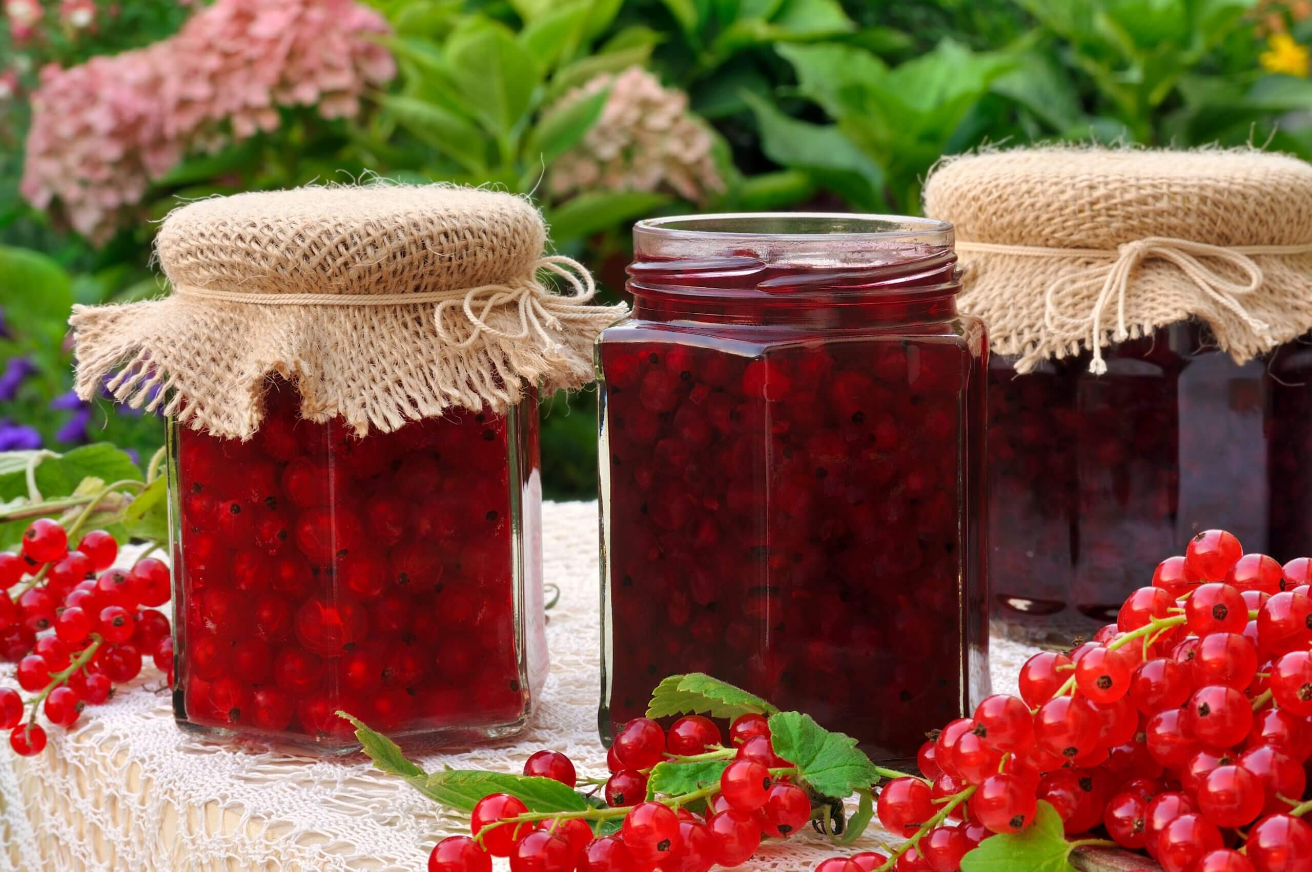 Confiture de groseilles